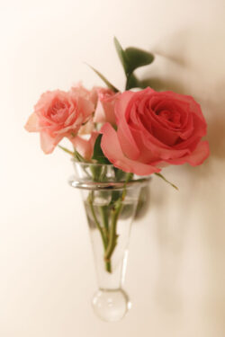 Flowers on the wall